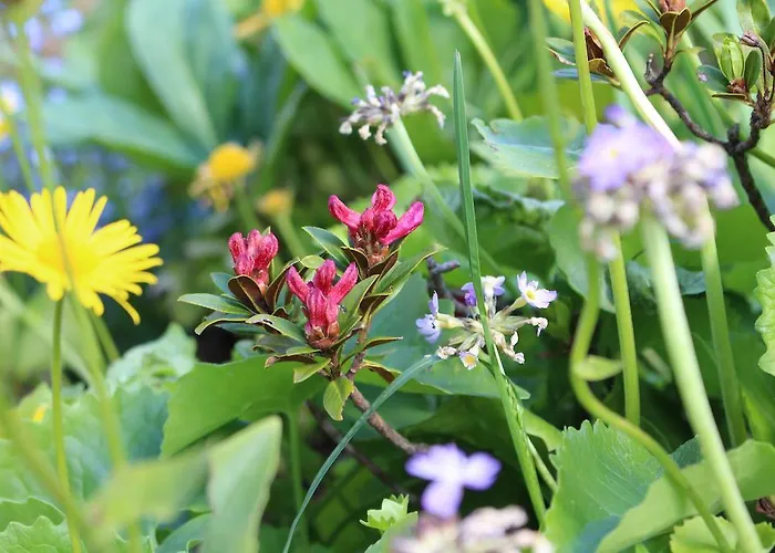 Alpengasthof Waldrast - Koralpe Ξενοδοχείο 3*